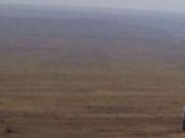 Продам участок в с. Узынагаш (25 км. от Алматы) общей площадью 21 га. Участок делимый, торг уместен.  , фотография 1