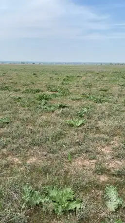 Продаются земельные участки общей площадью 18,34 га, фотография 4