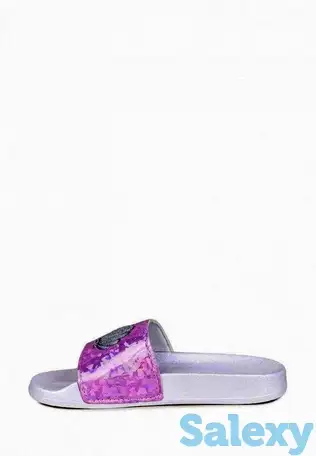 Сланцы t.taccardi, фотография 1