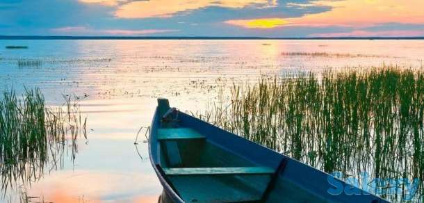 Продам участкти по 12 соток, ПК с/т Темирлан, фотография 7