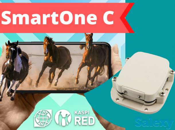 GPS трекер SmartOne C для лошади, верблюды, кобылы и КРС, фотография 2
