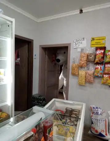 Продам шпальный дом с магазином, Долматово береговая 1, фотография 2