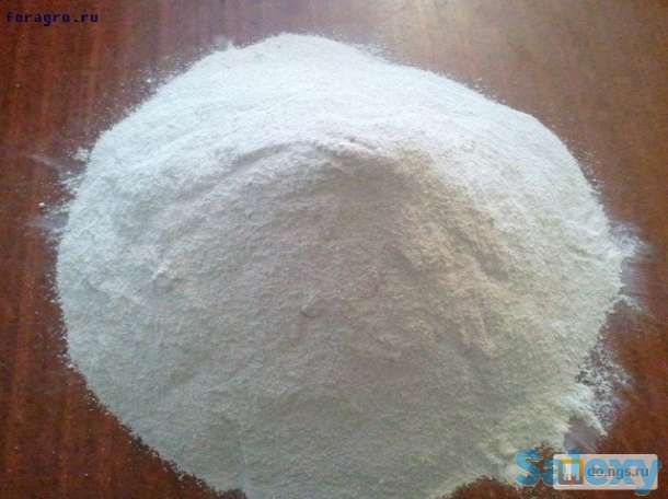 Мел кормовая, фотография 1