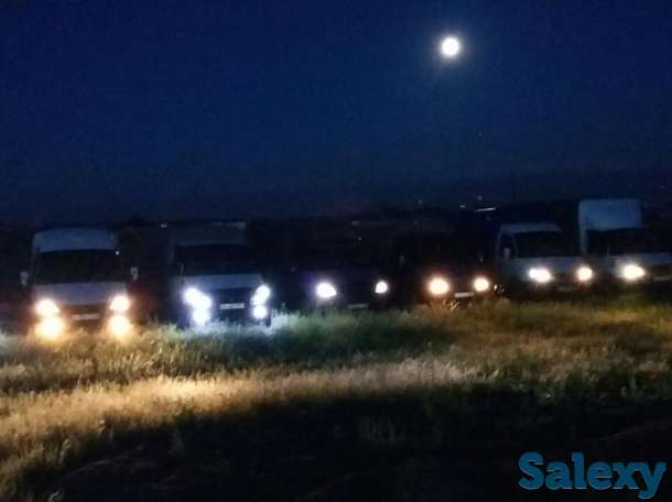 УСЛУГИ ГАЗЕЛИ, фотография 3