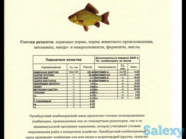 Продам комбикорма для животных, птицы, рыб, фотография 4