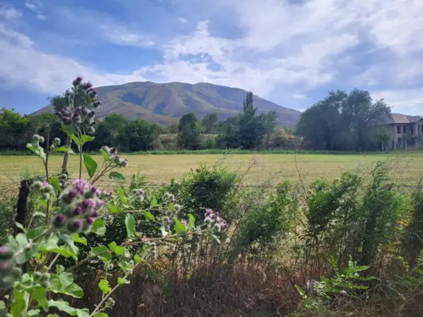 Продаем земельный участок  1 гектар возле поселка Джандосова, фотография 1