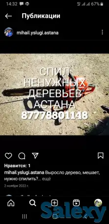 Спил деревьев Астана пригород спилить дерево, фотография 1