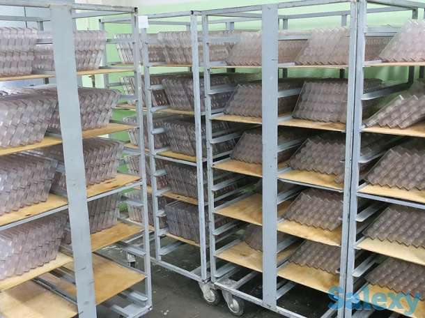 Линия шоколадных изделий с начинкой AS-275.2, фотография 2