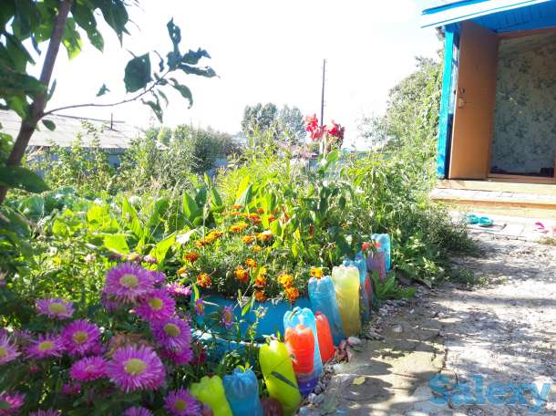 Продам или обмен на квартиру, с.Винное, фотография 9