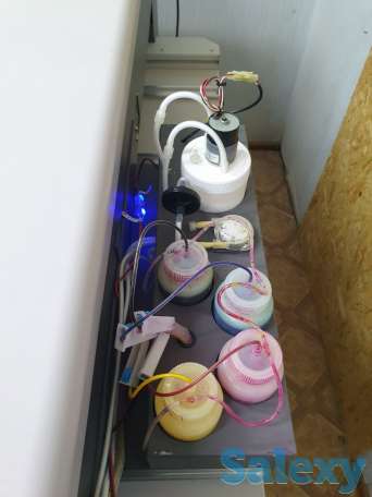 DTG DIGITAL M6 Промышленный принтер для прямой печати на одежде., фотография 7