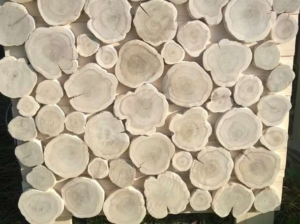 Спилы можжевельника., фотография 2