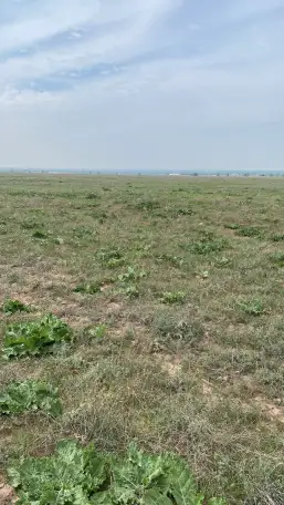 Продаются земельные участки общей площадью 18,34 га, фотография 2