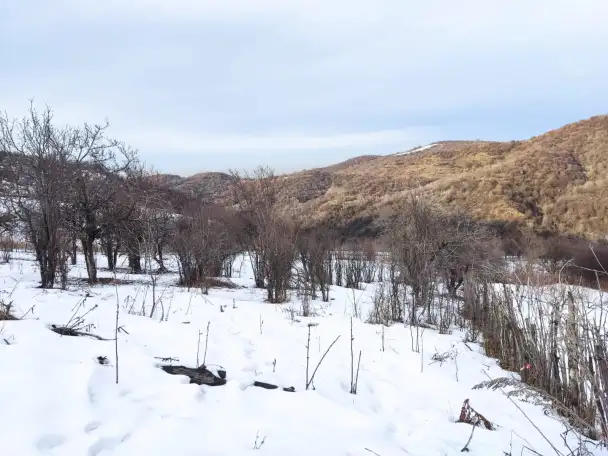 Продам участок Медеуский район, фотография 5