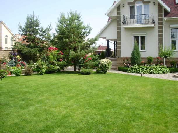 устройство газона, фотография 2