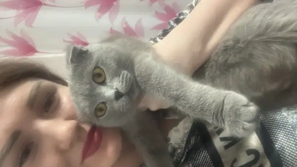 pavlenko100495icloud.com, фотография 8