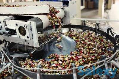 Разнорабочие в Белгородскую область РФ, фотография 3