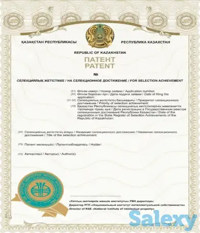 Регистрация сортов растений, фотография 1