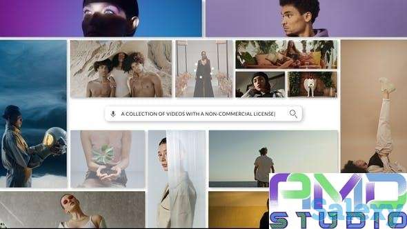 Видеоролик анимации поисковой строки заказать (ELEMENTS_1), фотография 1