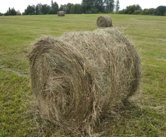 Куплю 5000 тысяч рулонов сена, фотография 1