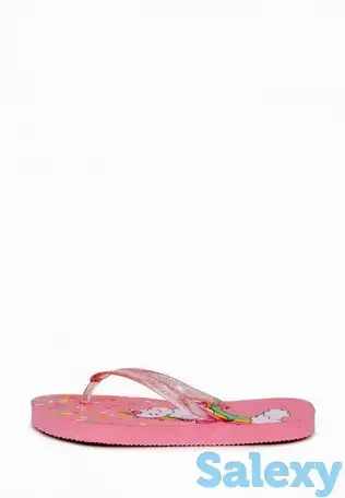 Сланцы t.taccardi, фотография 2