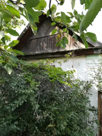 Дачный участок в обществе Локомотив, фотография 4