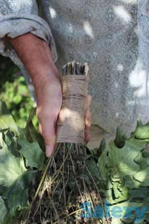 Премиальный Яр веник для бани - канадский дуб с мелиссой, фотография 4