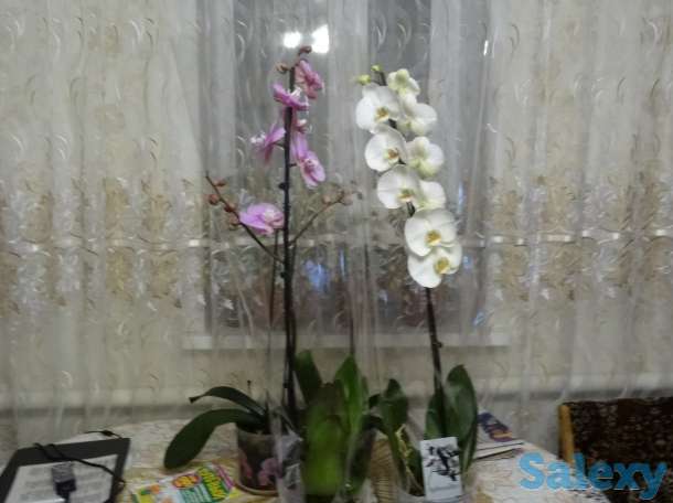 Продаю дом в г,Самара, Самарская обл, Красноярский р-н ПГТ Новосемейкино, фотография 9