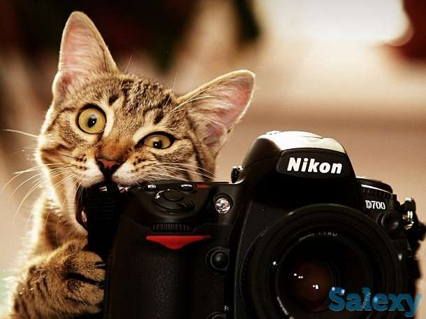 Самый лучший фотограф. Скидки., фотография 1