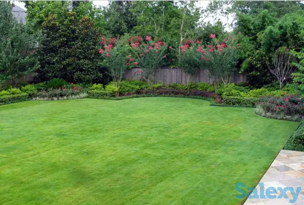 Озеленение, автополив под ключ, фотография 4