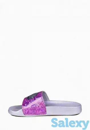 Сланцы t.taccardi, фотография 1