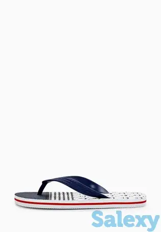 Сланцы t.taccardi, фотография 1