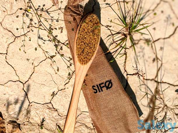 Щётка для сухого массажа тела sifo - овальная на длинной ручке, фотография 2