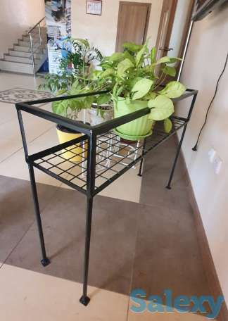 Цветочница садовая, фотография 1