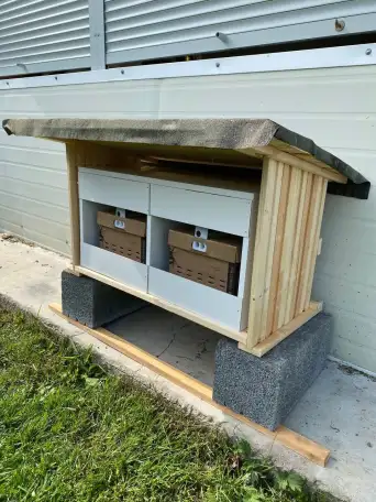 Шмелиная семья БиоИнновации Стандарт. Для опыления растений., фотография 11