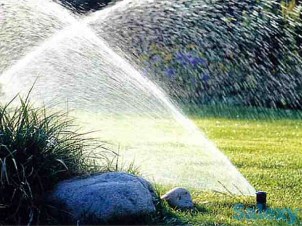 Посадка деревьев и цветов, фотография 1