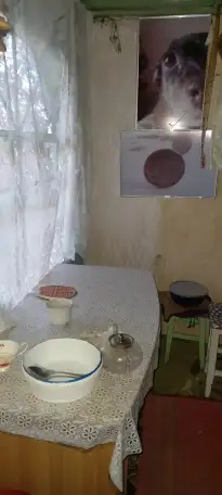 Дача Пригородное, фотография 6