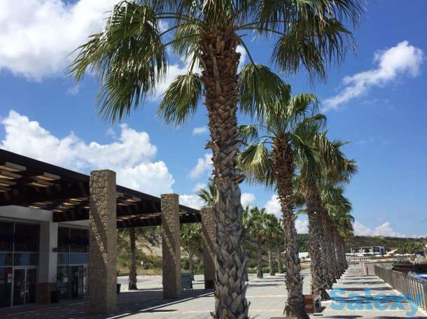 Жильё на Кипре, фотография 3