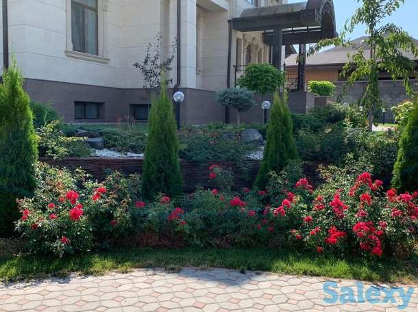 Профессиональный ландшафтный дизайн в Алматы!, фотография 1
