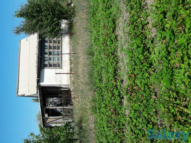 Дача в Алмалы, фотография 1