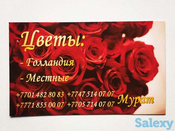 Визитки Алматы, фотография 3