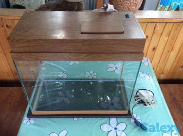 Аквариум, фотография 1