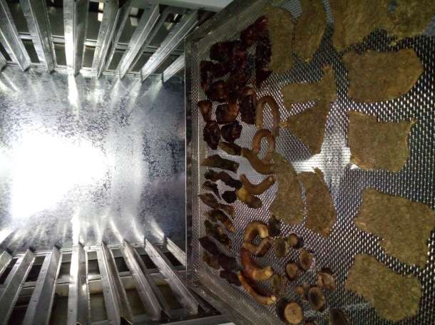 Сушильный шкаф камера С-3Км (на 220в) для мяса, овощей и пр., фотография 11