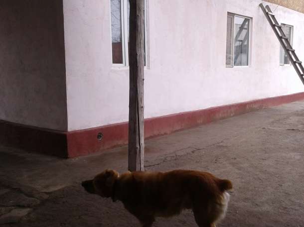 Срочно продам дом, Рахат 39, фотография 4