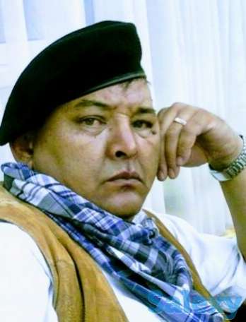 Шаржист профессионал, фотография 12