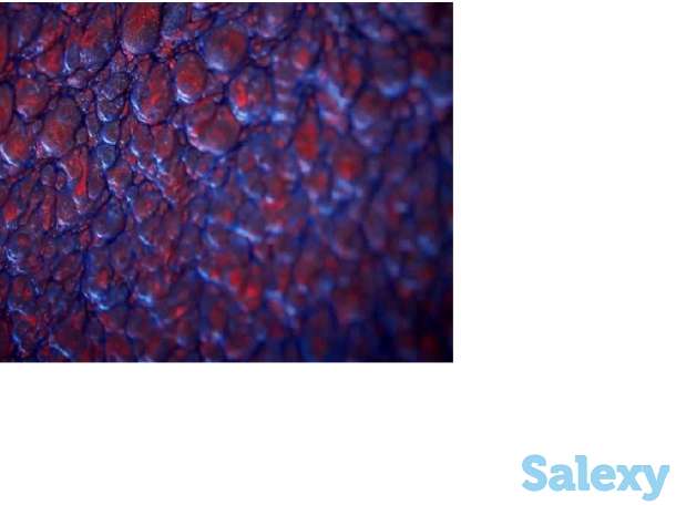 Пакет технологий Forma 3D (3D напыление), фотография 6