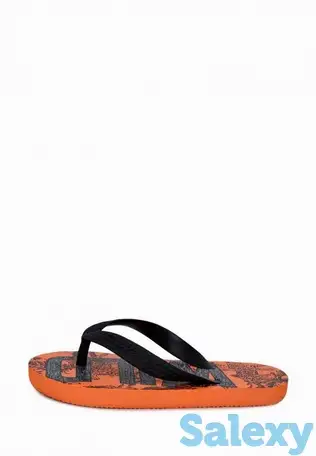 Сланцы t.taccardi, фотография 2