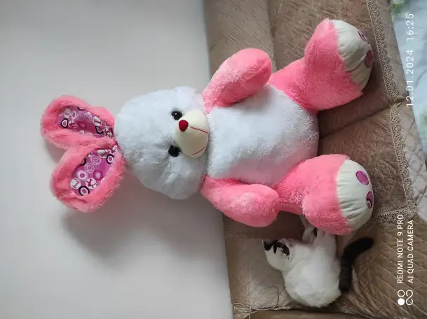 Срочно продам кролик, фотография 1