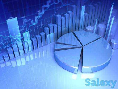 Финансовая модель, Бизнес план, финансовый анализ, фотография 1