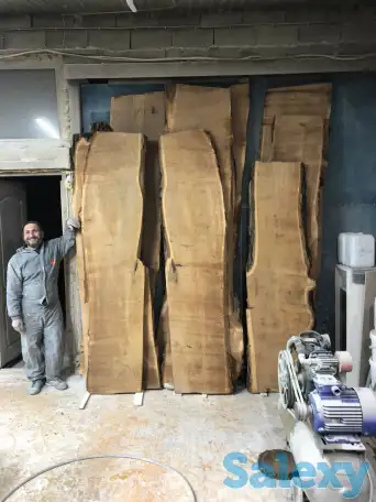 Слеб карагач., фотография 1