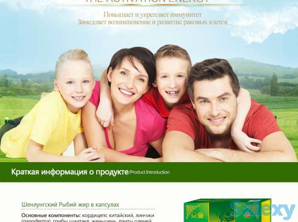 Кордицепс «источник жизненной силы», фотография 2